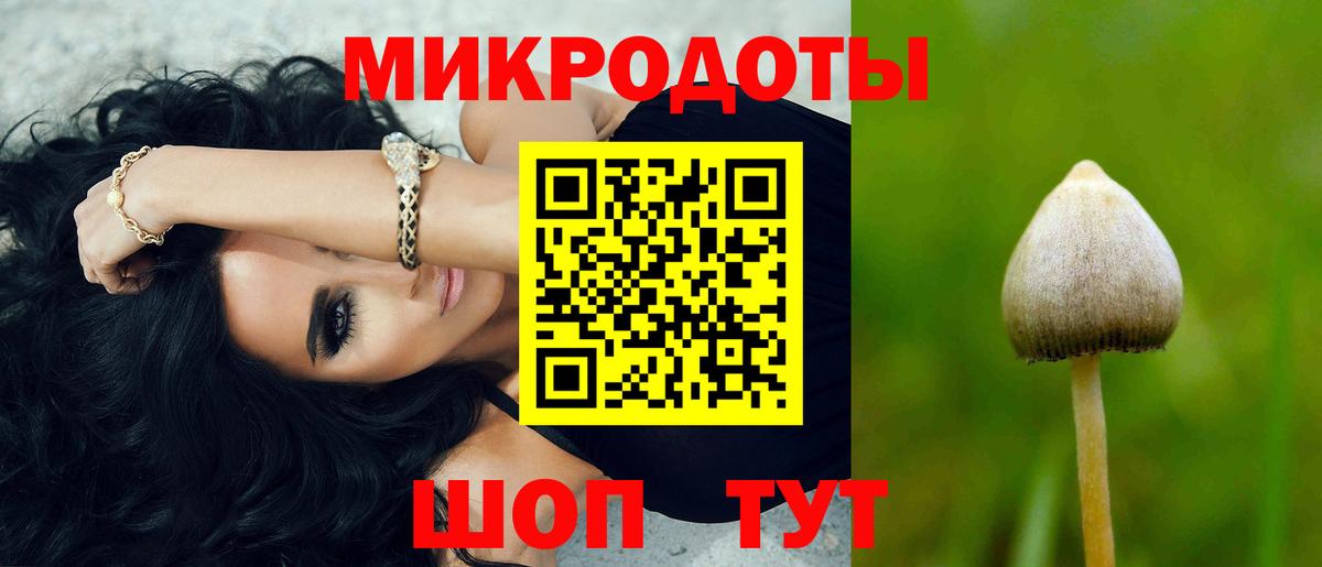 Галлюциногенные грибы прущие грибы Родники
